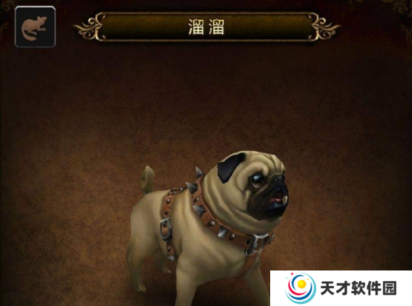 魔兽世界宠物溜溜怎么获得